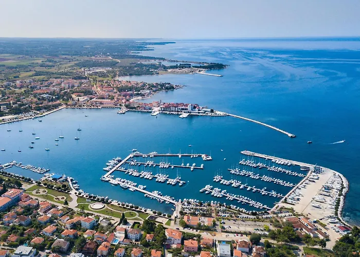 Zoki 1 By Interhome 우마그